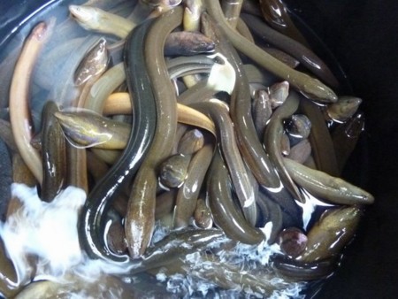 f:id:mikishanbara:20120110152524j:image f:id:mikishanbara:20120110152524j:image