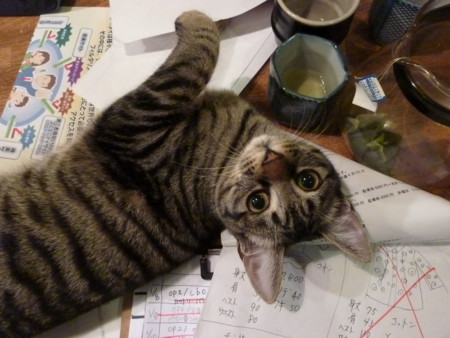 f:id:mikishanbara:20120120000658j:image f:id:mikishanbara:20120120000658j:image
