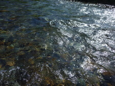 f:id:mikishanbara:20120715160059j:image f:id:mikishanbara:20120715160059j:image