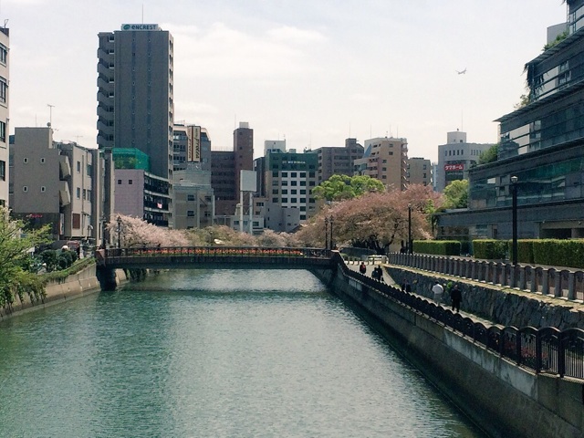 f:id:miko1o22:20150413104022j:plain f:id:miko1o22:20150413104022j:plain