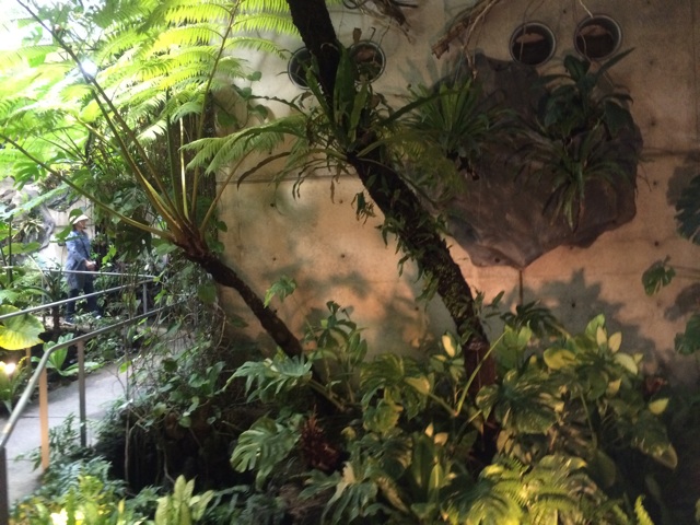 f:id:miko1o22:20150428230657j:plain f:id:miko1o22:20150428230657j:plain