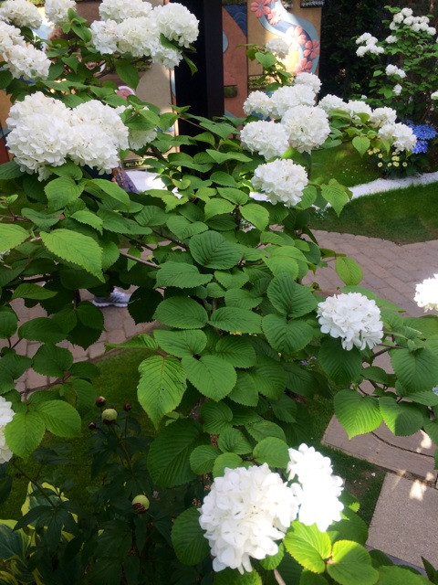 f:id:miko1o22:20150428231402j:plain f:id:miko1o22:20150428231402j:plain