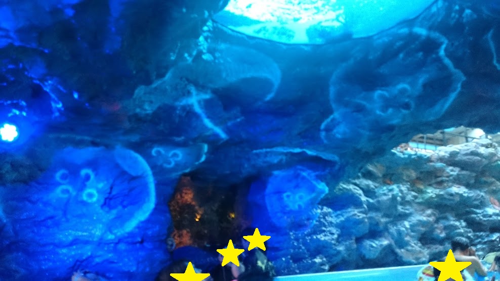 f:id:milkmooncake:20150923214730j:plain f:id:milkmooncake:20150923214730j:plain