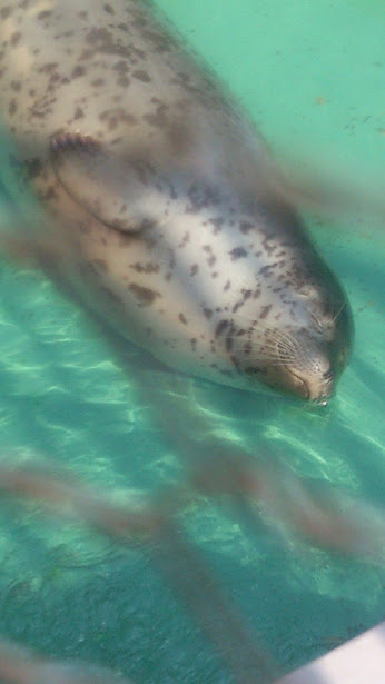 f:id:milkmooncake:20151025201049p:plain f:id:milkmooncake:20151025201049p:plain