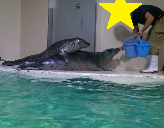 f:id:milkmooncake:20151025204636p:plain f:id:milkmooncake:20151025204636p:plain