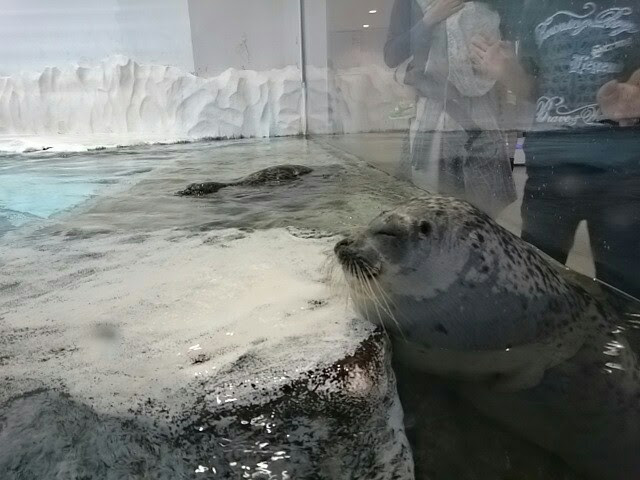 f:id:milkmooncake:20151025205458p:plain f:id:milkmooncake:20151025205458p:plain