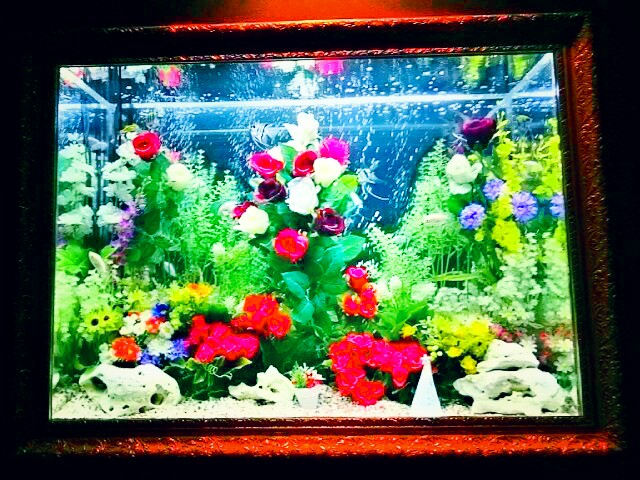 f:id:milkmooncake:20151128182018p:plain f:id:milkmooncake:20151128182018p:plain