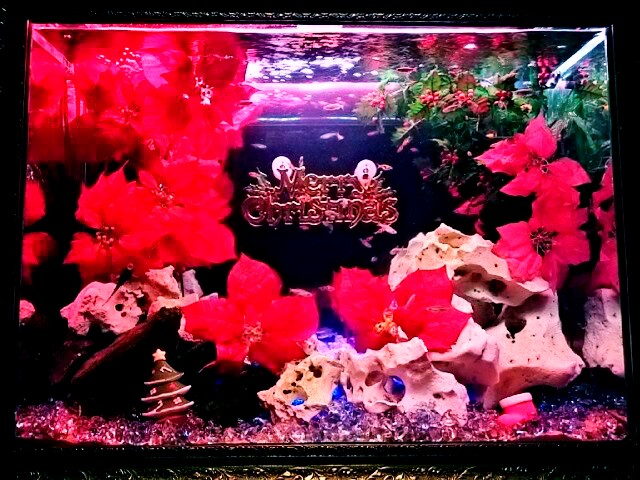 f:id:milkmooncake:20151128182207p:plain f:id:milkmooncake:20151128182207p:plain