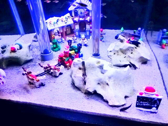 f:id:milkmooncake:20151128182239p:plain f:id:milkmooncake:20151128182239p:plain