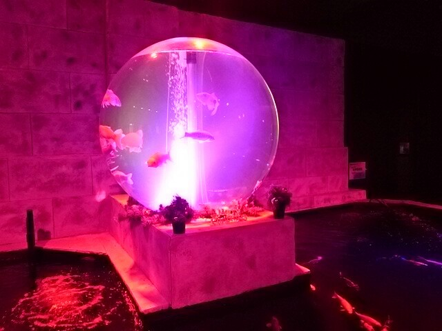 f:id:milkmooncake:20151128191146p:plain f:id:milkmooncake:20151128191146p:plain