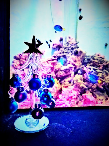 f:id:milkmooncake:20151128225520p:plain f:id:milkmooncake:20151128225520p:plain