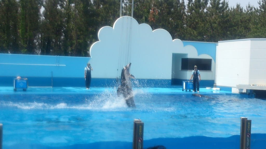 f:id:milkmooncake:20160319225714p:plain f:id:milkmooncake:20160319225714p:plain