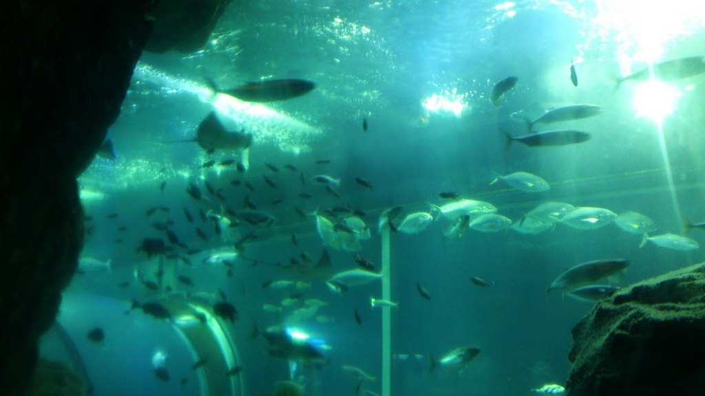 f:id:milkmooncake:20160319225938p:plain f:id:milkmooncake:20160319225938p:plain