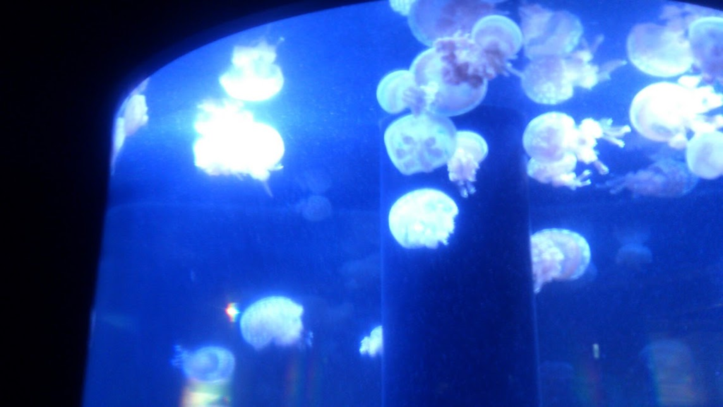 f:id:milkmooncake:20160319230451p:plain f:id:milkmooncake:20160319230451p:plain