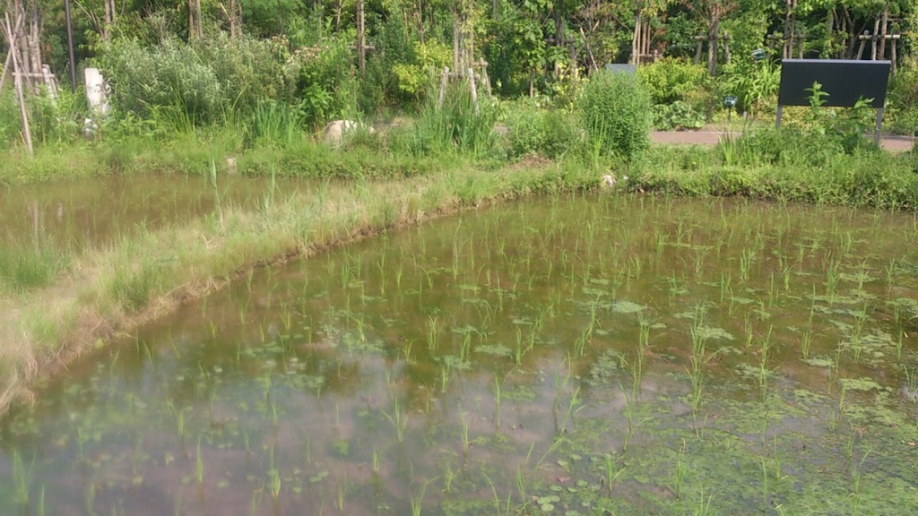 f:id:milkmooncake:20160319230524p:plain f:id:milkmooncake:20160319230524p:plain