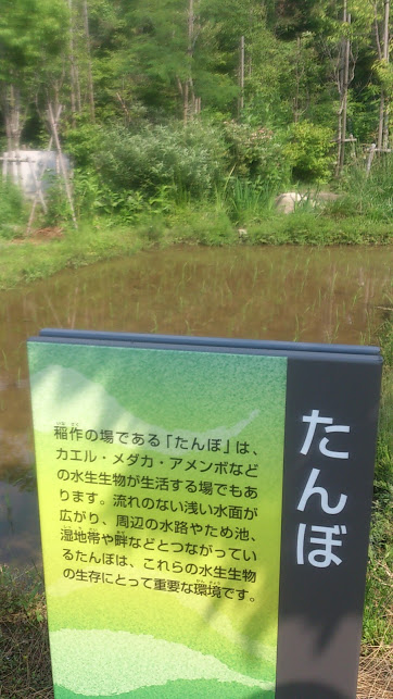 f:id:milkmooncake:20160319230548p:plain f:id:milkmooncake:20160319230548p:plain