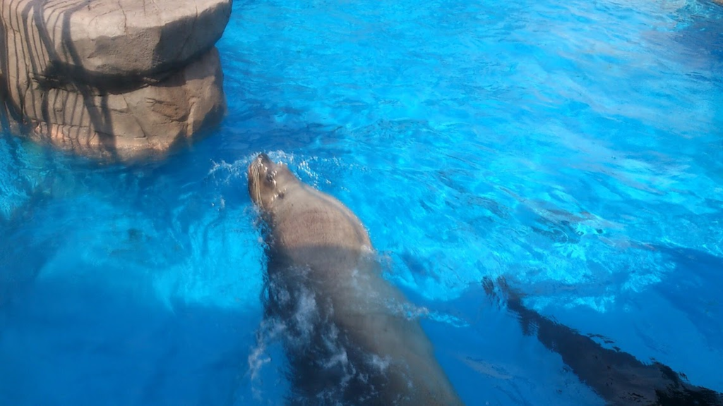 f:id:milkmooncake:20160319230845p:plain f:id:milkmooncake:20160319230845p:plain