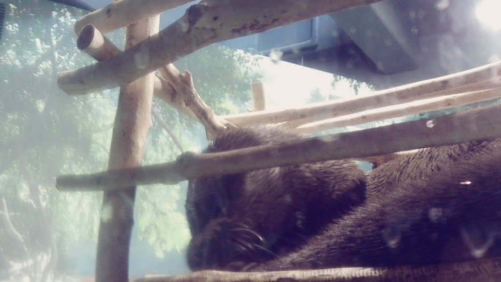 f:id:milkmooncake:20160319231510p:plain f:id:milkmooncake:20160319231510p:plain