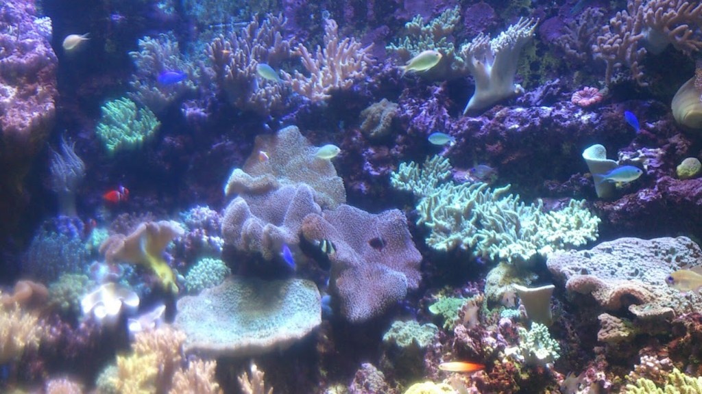 f:id:milkmooncake:20160319232150p:plain f:id:milkmooncake:20160319232150p:plain