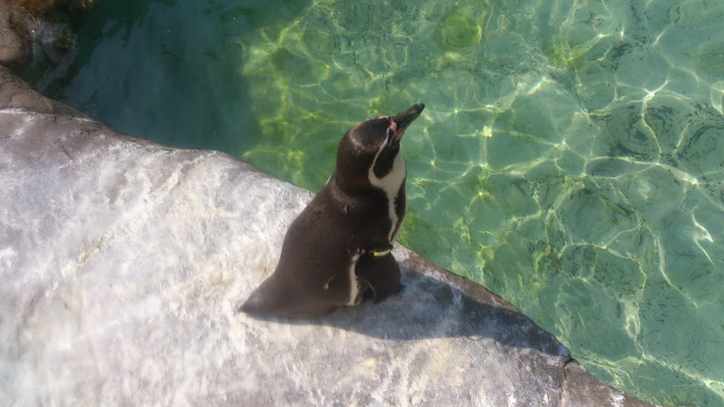 f:id:milkmooncake:20160319232240p:plain f:id:milkmooncake:20160319232240p:plain