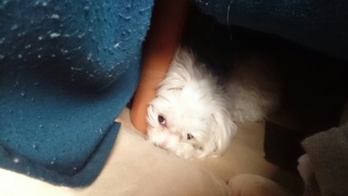f:id:milku2:20150204211114j:image f:id:milku2:20150204211114j:image