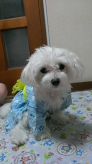 f:id:milku2:20150209020408j:image f:id:milku2:20150209020408j:image