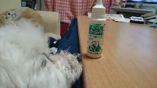 f:id:milku2:20150212210316j:image f:id:milku2:20150212210316j:image