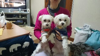 f:id:milku2:20150212211632j:image f:id:milku2:20150212211632j:image