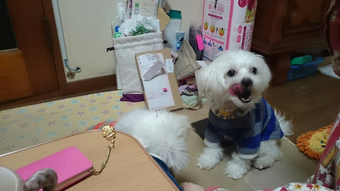 f:id:milku2:20150312190313j:image f:id:milku2:20150312190313j:image