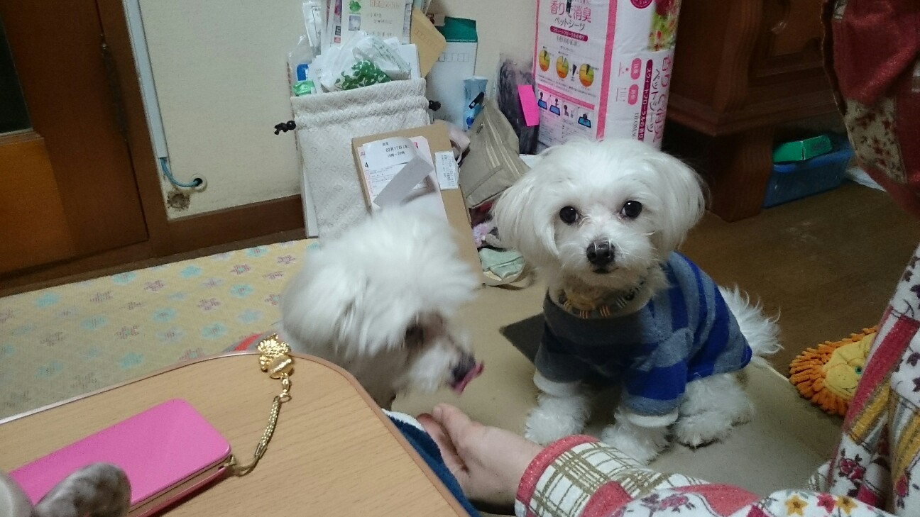 f:id:milku2:20150312190652j:image f:id:milku2:20150312190652j:image
