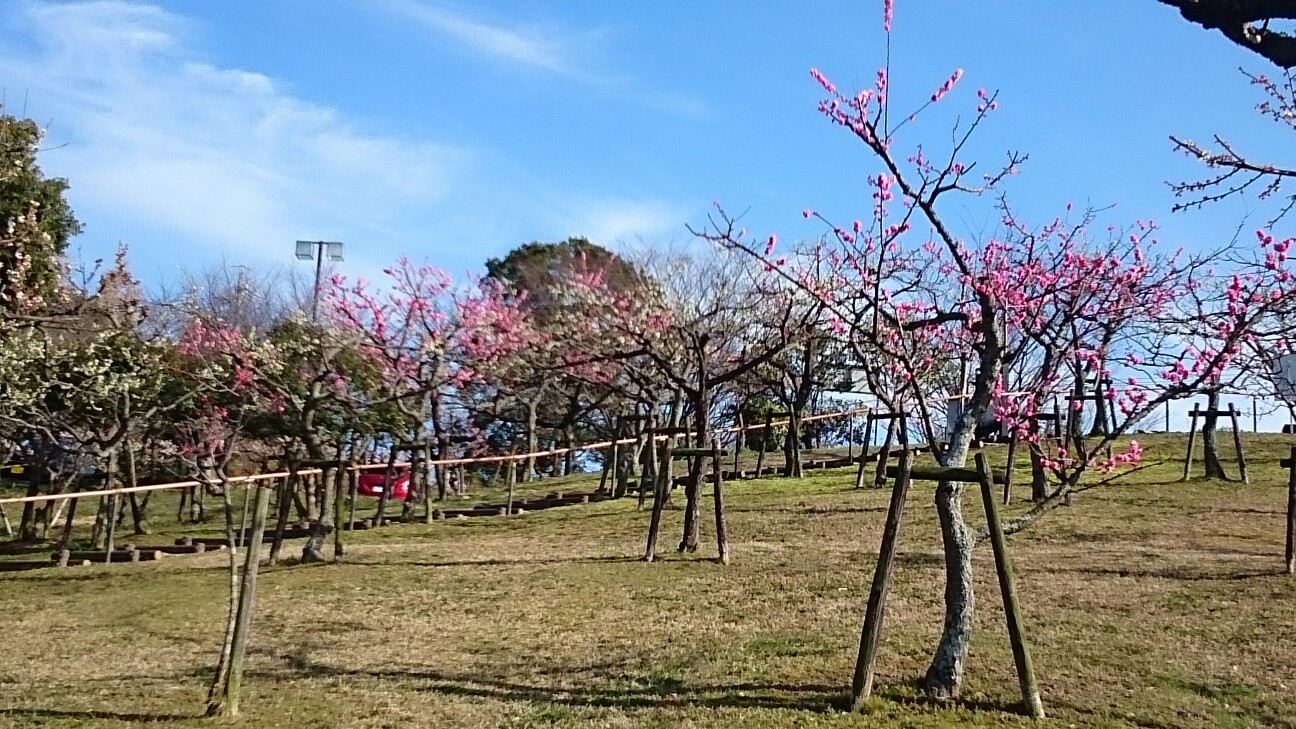 f:id:milku2:20150323213154j:image f:id:milku2:20150323213154j:image