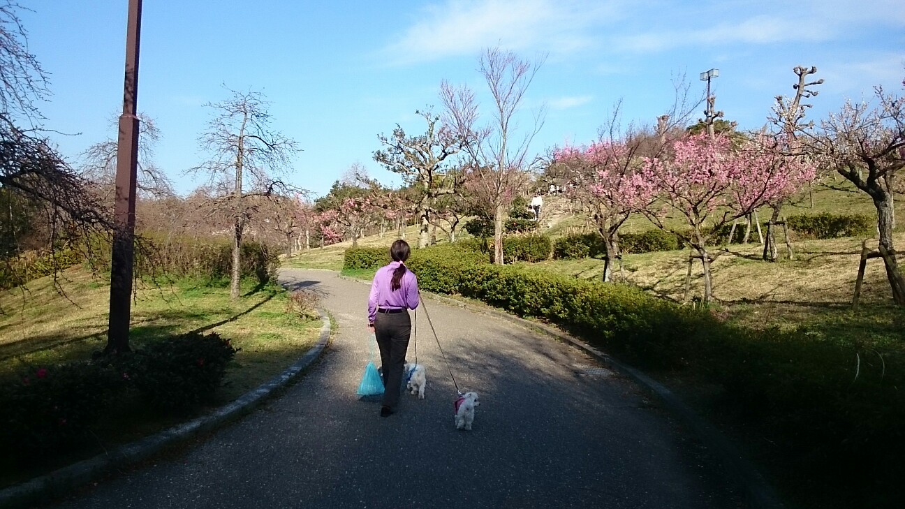 f:id:milku2:20150323213229j:image f:id:milku2:20150323213229j:image
