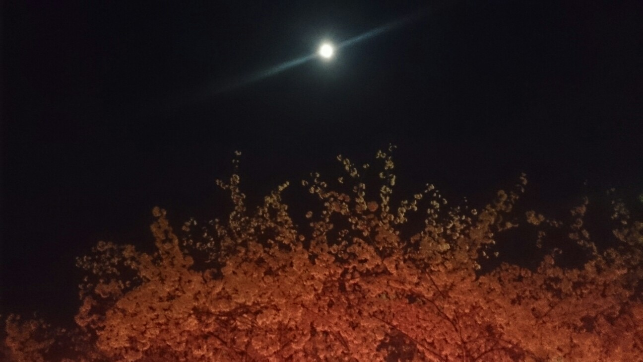 f:id:milku2:20150331213620j:image f:id:milku2:20150331213620j:image