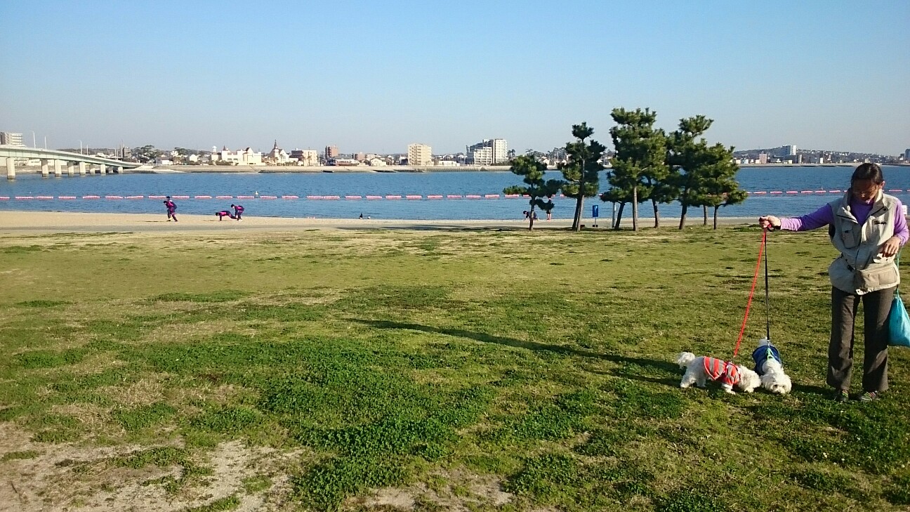 f:id:milku2:20150406220407j:image f:id:milku2:20150406220407j:image