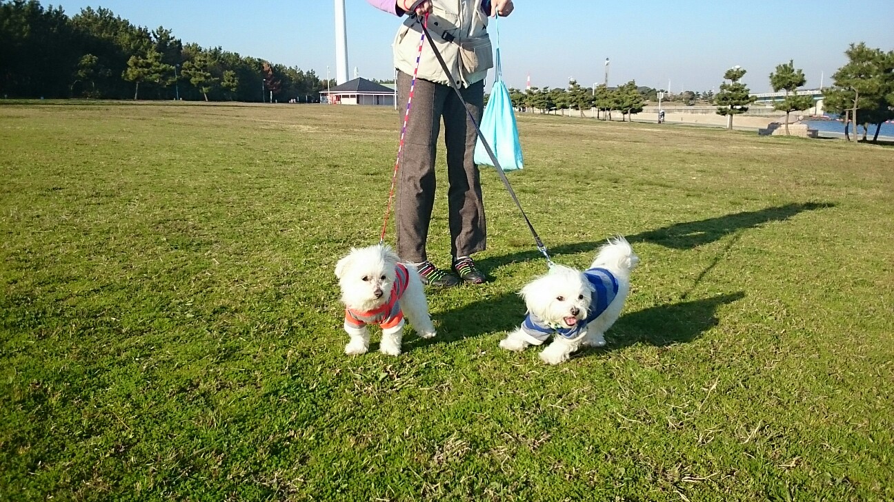 f:id:milku2:20150406220459j:image f:id:milku2:20150406220459j:image