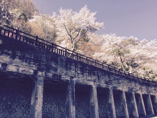 f:id:mim222:20160418001038j:image f:id:mim222:20160418001038j:image