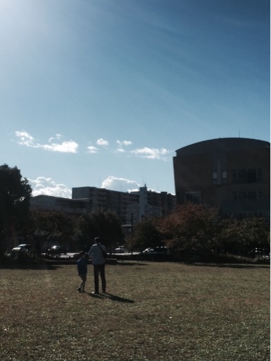 f:id:mimeyama:20151109093618j:image