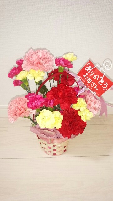 f:id:mimisan0122:20160509202251j:image f:id:mimisan0122:20160509202251j:image
