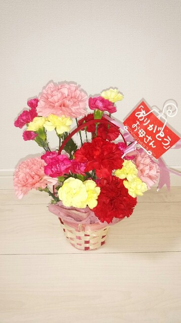 f:id:mimisan0122:20160509202253j:image f:id:mimisan0122:20160509202253j:image