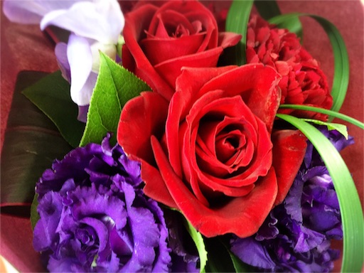 f:id:mimiyoga:20160221222756j:image f:id:mimiyoga:20160221222756j:image
