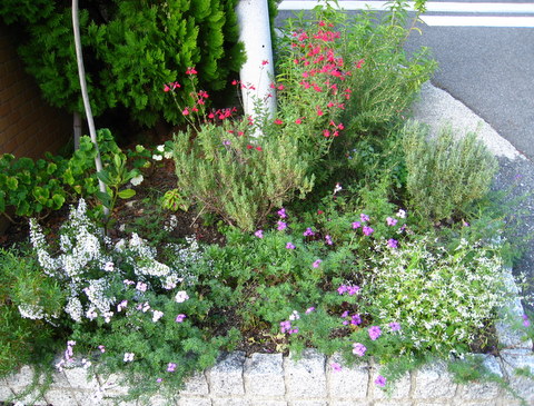 f:id:mimozaai:20101005154550j:image f:id:mimozaai:20101005154550j:image