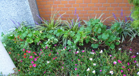 f:id:mimozaai:20101005154606j:image f:id:mimozaai:20101005154606j:image