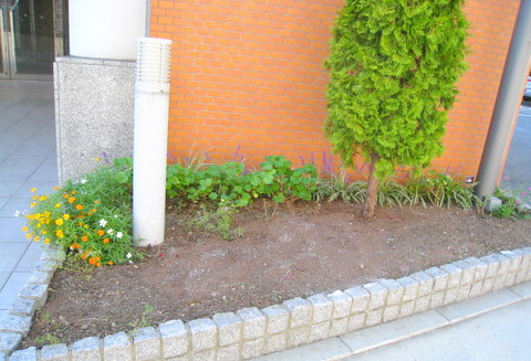 f:id:mimozaai:20101017111722j:image f:id:mimozaai:20101017111722j:image