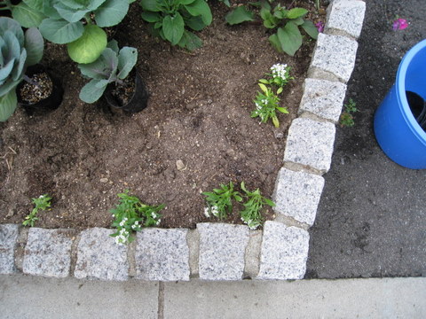 f:id:mimozaai:20101021092126j:image f:id:mimozaai:20101021092126j:image