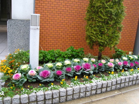 f:id:mimozaai:20101228162059j:image f:id:mimozaai:20101228162059j:image