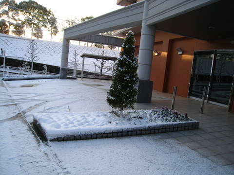 f:id:mimozaai:20101231075202j:image f:id:mimozaai:20101231075202j:image