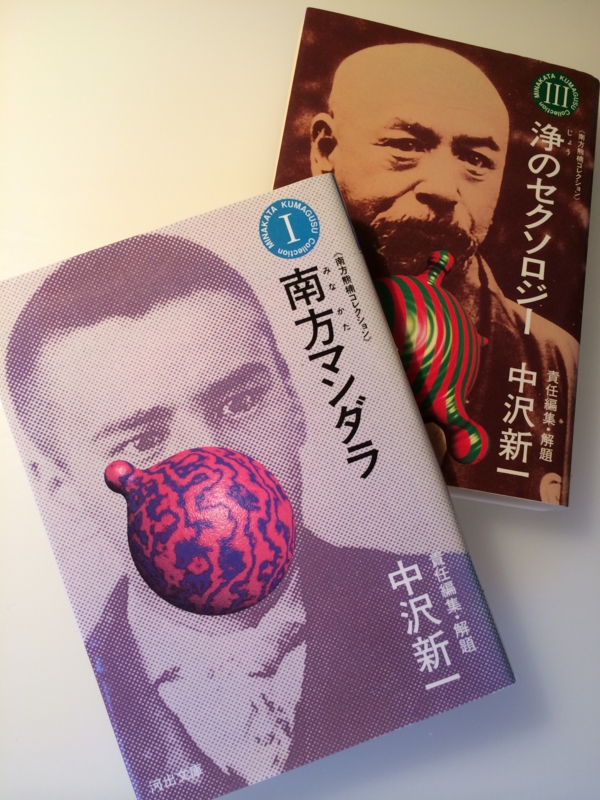 南方熊楠コレクション／全5巻南方マンダラ／南方民俗学／森の