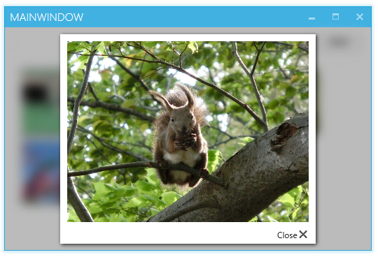 f:id:minami_SC:20160403175108p:plain:w300 f:id:minami_SC:20160403175108p:plain:w300