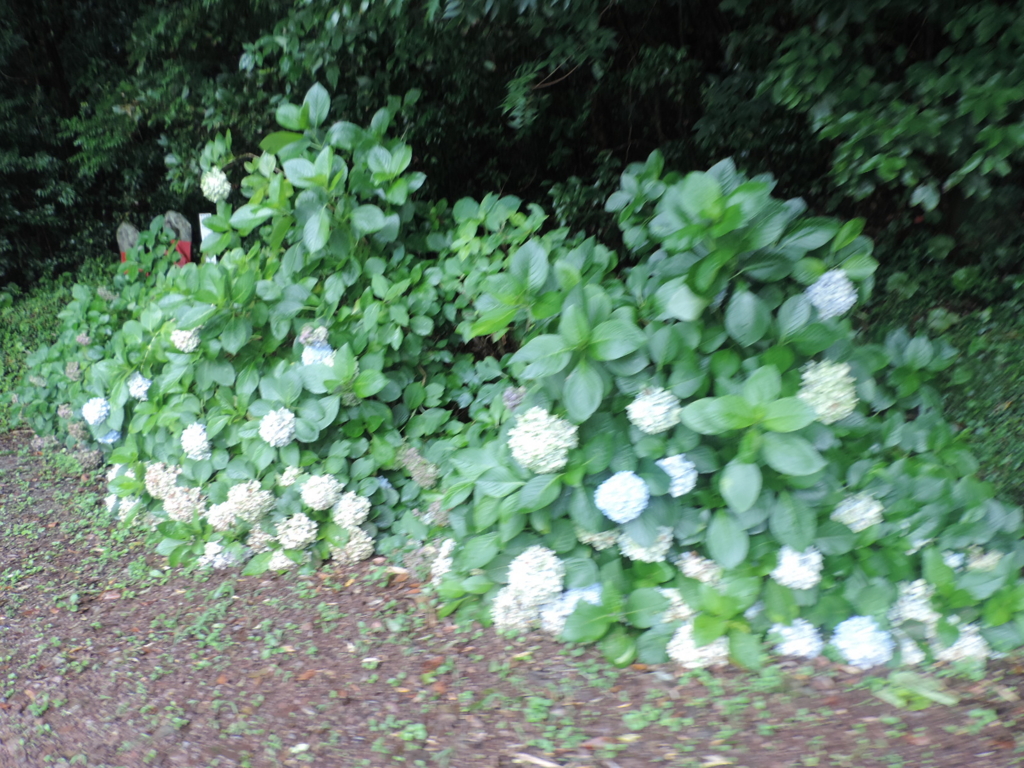 f:id:minato920:20150721212209j:plain