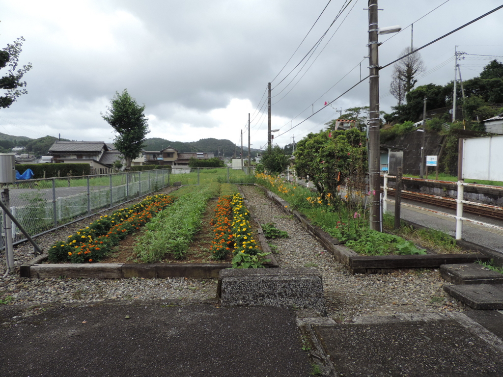 f:id:minato920:20150808062436j:plain